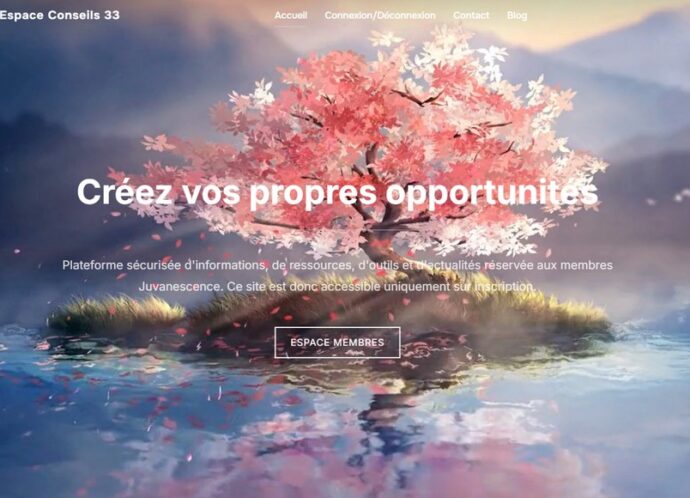 SITE ESPACE CONSEILS 33-FR